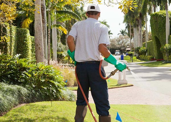About Faxon OK Pest Control